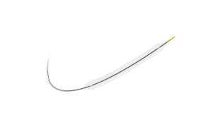 Carotid Artery Balloon Dilatation Catheter